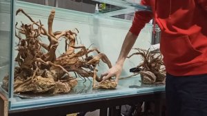 Оформление аквариума на 600 литров.