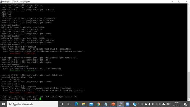 Git commands 2 cntd - Git Ignore, Git Reset, Git amend, Git Tag