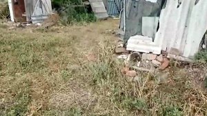 ножи для триммера из полотна бензопилы для бурьяна