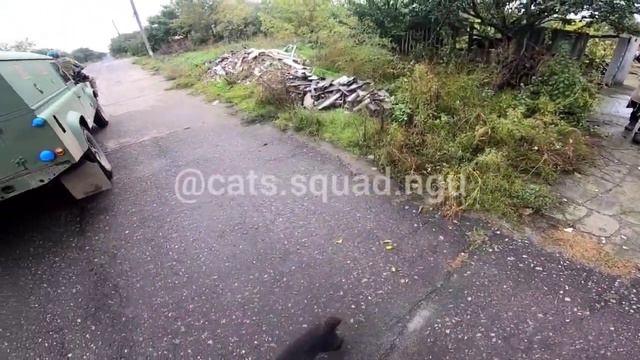 Лиман Донецкая область 02.10.2022