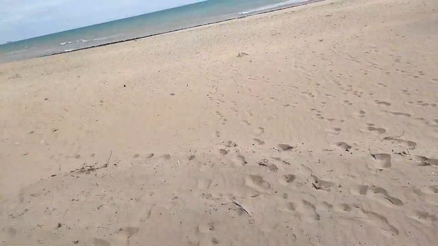 Поход на шашлык. Отмечаем праздник 8 марта на природе. Кормим чаек картошкой. Рецепт шашлыка.