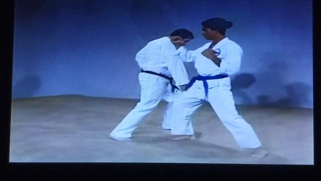 COMBAT SHOTOKAN VIDEO 4 BLOCKING TECHNIQUES смотреть онлайн