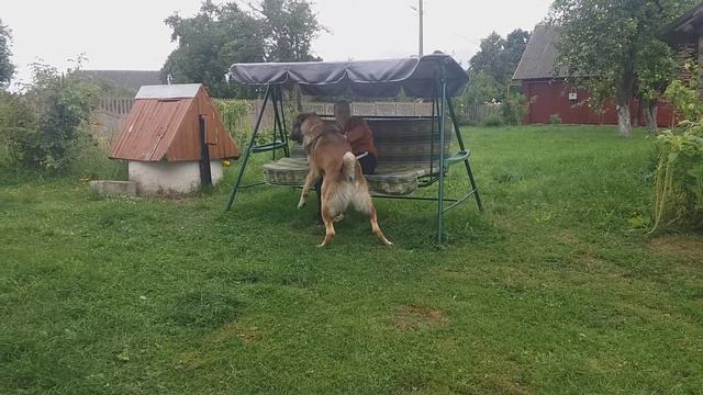 Алабай Яр 1.8год смотреть онлайн