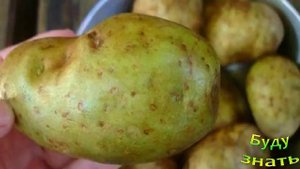 Обычная картошка вылечит  пяточную шпору?!