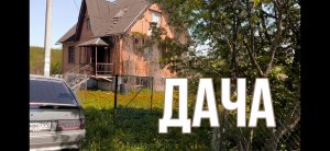 Дача 13 мая 2023. Розы не оклемались после зимы. Все в одуванчиках. Клумбы зарастают?