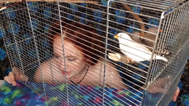 Куропаткина глаза цвет смотреть онлайн