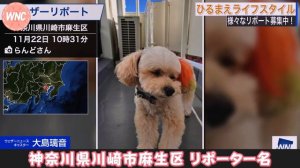 【大島璃音】犬派？猫派？ディベート対決前にどちらとも可愛すぎて悶絶する大島キャスター