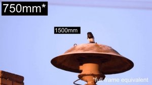 500mm ULTRA TELE Mirror Lens test | Walimex Pro 500 mm f/6.3 | 4K