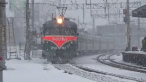 Электропоезда на станции Марк МЦД-1: ЭД4М, ЭП2Д "Стандарт Плюс"/"РЭКС" и ЭР2К-1018/980 "ЯХРОМА"
