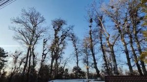 Вадул-луй-Воде