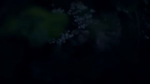 Söz | 40.Bölüm | "ALİ HAYDAR"