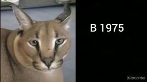 В каком году ты родился.