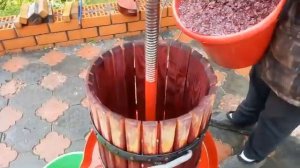 Домашнее виноделие. Мерло, урожай 2017 г.