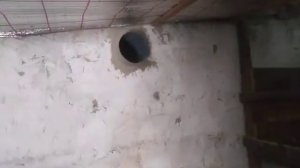 БРОЙЛЕРЫ / Вентиляция в курятнике