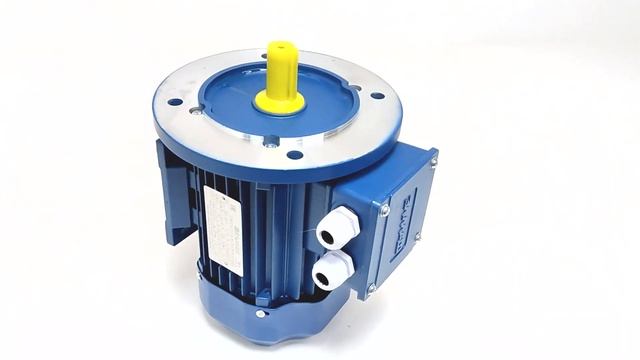 Эл.двигатель АИР71В4 МПТ 12000060805 смотреть онлайн