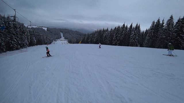 Спуск с горы на лыжах. Буковель 15. 02. 18 смотреть онлайн
