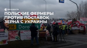 Польские фермеры против поставок зерна с Украины