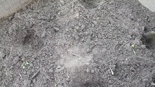 Земляничка, пора на место. смотреть онлайн