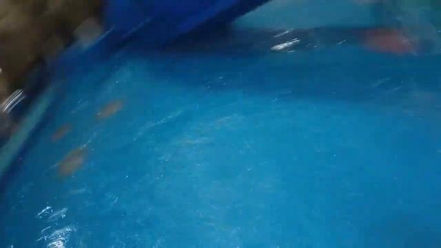 Дети в аквапарке! / Первый день в Казани (Казанской Ривьере) / АКВАПАРК РИВЬЕРА!