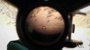 Краткий обзор и отстрел прицелов Vortex Strike Eagle 1-6x24 и Vortex Razor HD 1-6x24