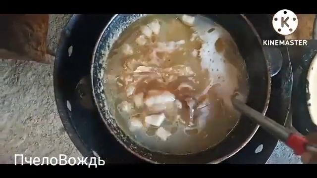 Готовим мясо для долгого хранения на пасеке.(кавурдак) Гуштни узок саклаш учун ковурдак тайёрладик.