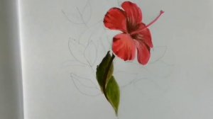 Flower painting| how to draw and paint Hibiscus/ China rose(Gurhal) painting in acrylic