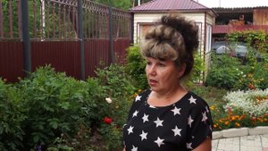 Розы в сибирском саду