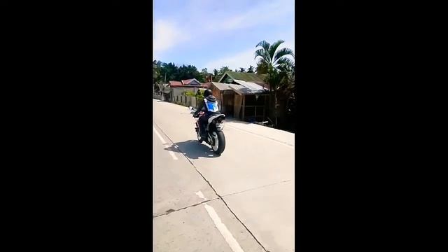 honda CBR 600rr смотреть онлайн