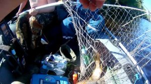 рыбалка на вычегде 2020