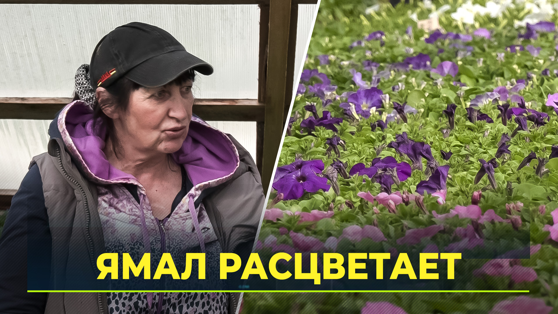 Ямал этим летом украсит миллион цветов