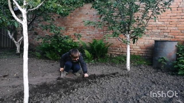 Я копаю огород. Детское стихотворение про огород.