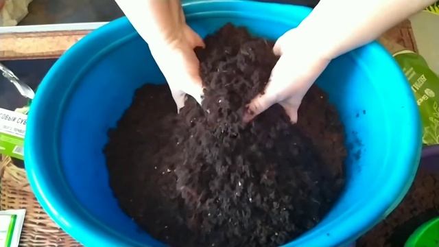 Готовим грунт для посева семян на рассаду.