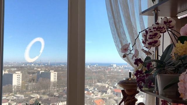 Новый стеллаж в дневном и вечернем дизайне смотреть онлайн