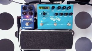STRYMON BIGSKY REVERB + ERNIE BALL VP JR + TC ELECTRONIC FLASHBACK DELAY V1 // Ambient Sounds
