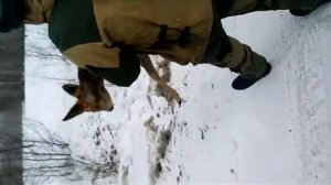 Спасение животного с. Черемхово Красночикойского района