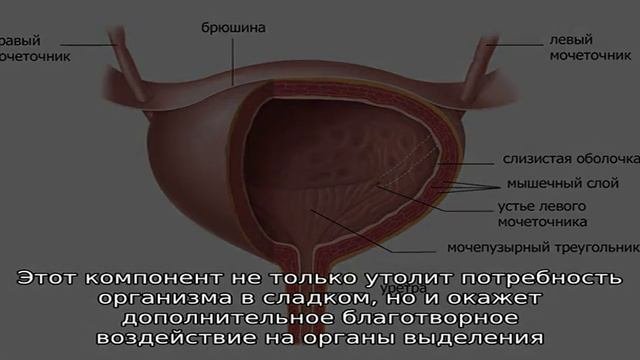 Особенности диеты при цистите у женщин