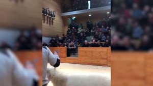 Аукцион баранов Мериноландшаф в Ингольштадт! Овцеводство в России! Лучшие бараны мира!