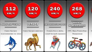 Сравнение: Скорость во вселенной. Кто самый быстрый в мире?