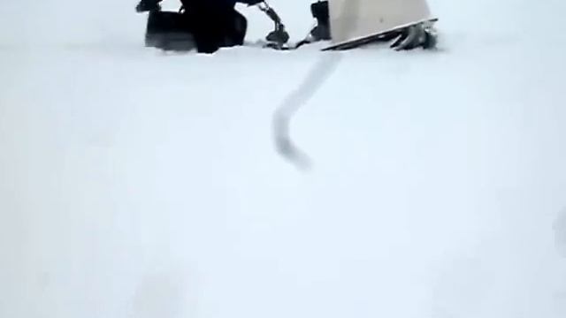 SDC15533 смотреть онлайн