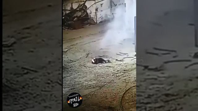 Краснодар