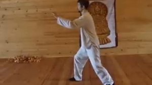 Tai Chi Yang-stile108 (Part3)