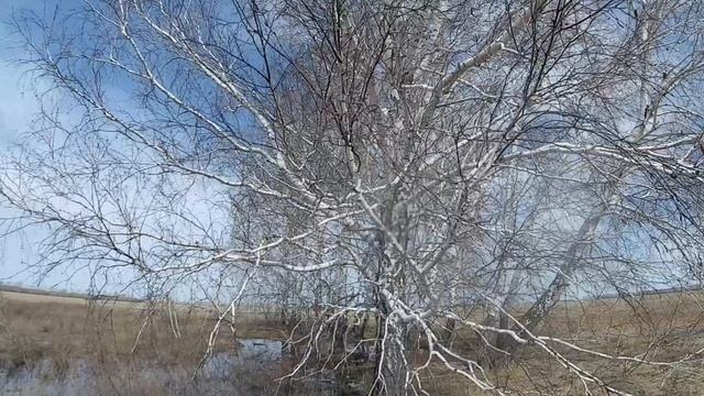 Лозовское село в Павлоградском районе Омской области ч.2/Lozovskoye village in Omsk region part2