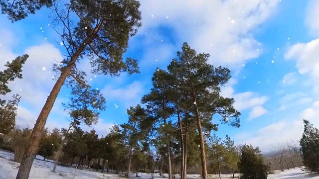 Зимнее настроение.  Саксофон