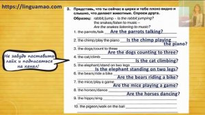 Spotlight (английский в фокусе) 3 класс Сборник упражнений страница 101 номер 3 ГДЗ решебник