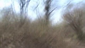 Углекаменск