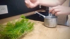 Маска для лица из хвои. Лифтинг. Поход в лес.