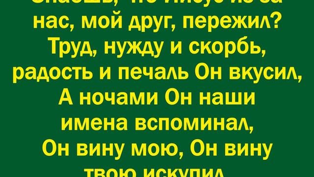 Тополиный пух возле тополей – минус