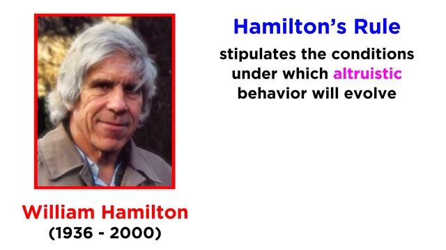 Mechanisms of Natural Selection: Altruism and Kin Selection смотреть онлайн