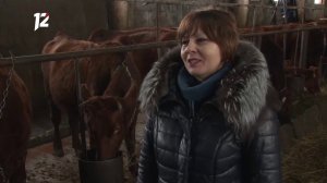 Местные жители (21.01.2020)