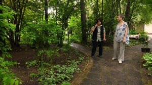 Романтический теневой сад Елены Седовой | #ВокругДома